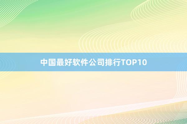 中国最好软件公司排行TOP10