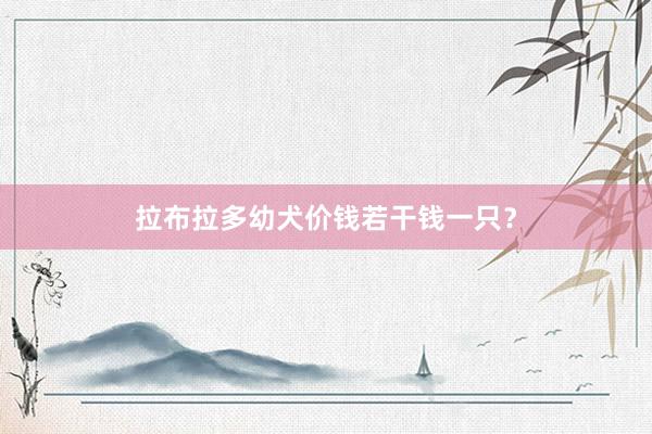 拉布拉多幼犬价钱若干钱一只？